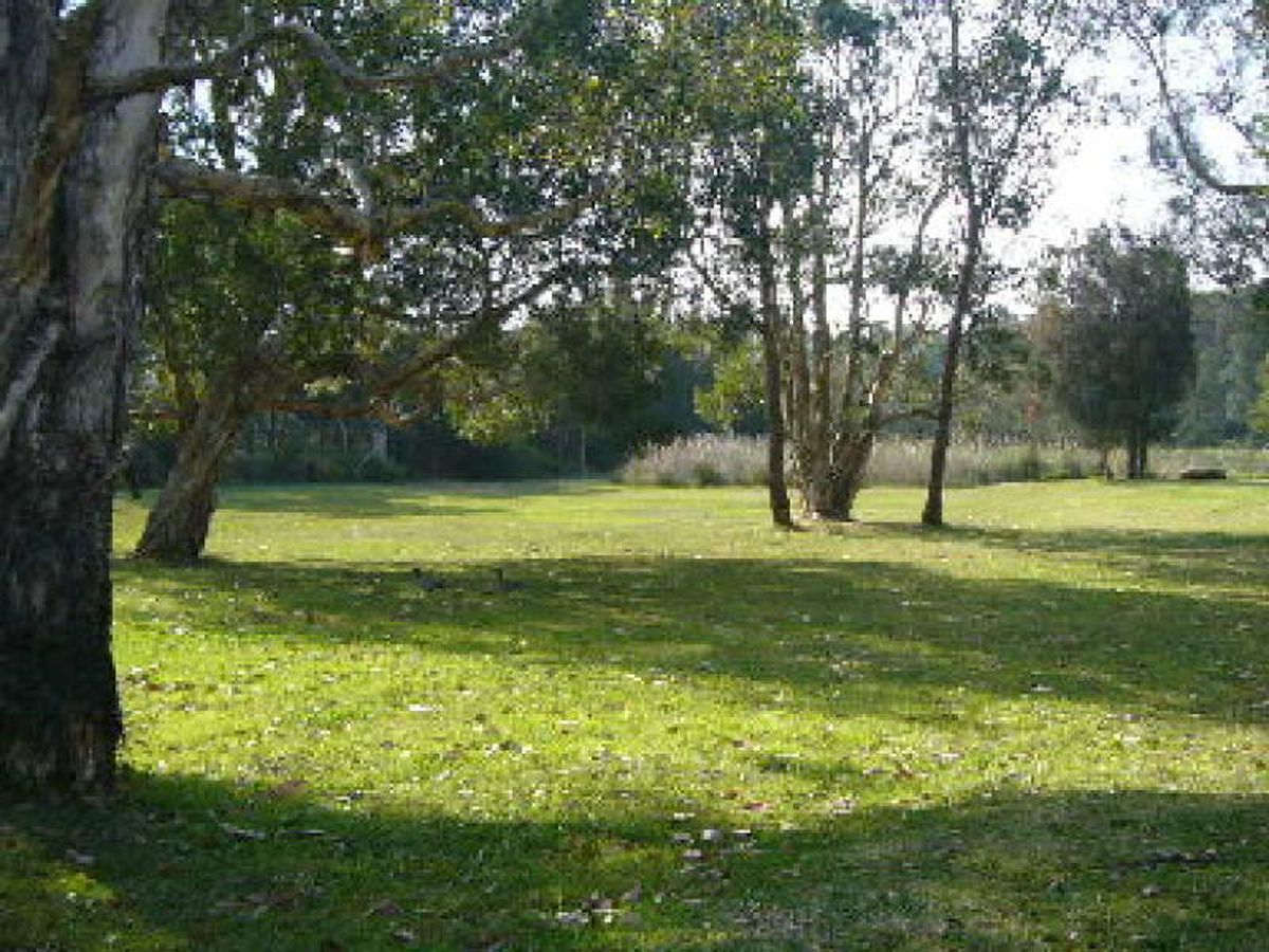 19A Tanilba Avenue, Tanilba Bay, Tanilba Bay - Thumbnail 6