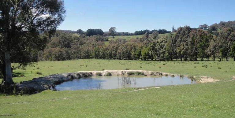 Watkins Road, Strathbogie