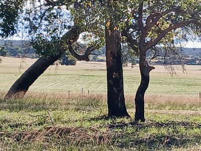 1271 Dobaderry Road, York