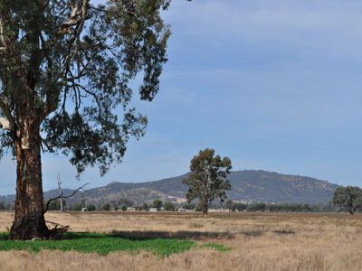 Wagga Wagga Road, Holbrook