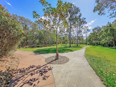 17 Nichols St, Wakerley