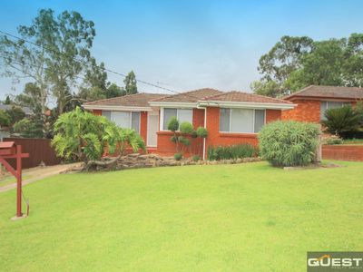 19 Lincoln Road, Georges Hall