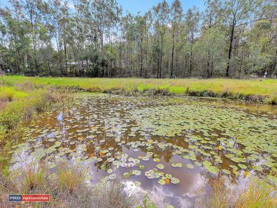 25 Lipizzaner Place, Pine Mountain