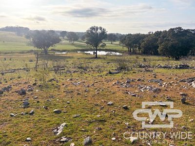 Lot 1, - Emmaville Rd, Emmaville