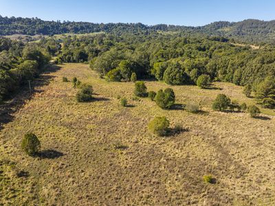 95 ANDERSON ROAD, Nimbin