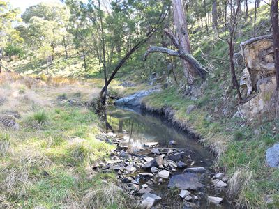 13983 Gwydir Highway, Shannon Vale