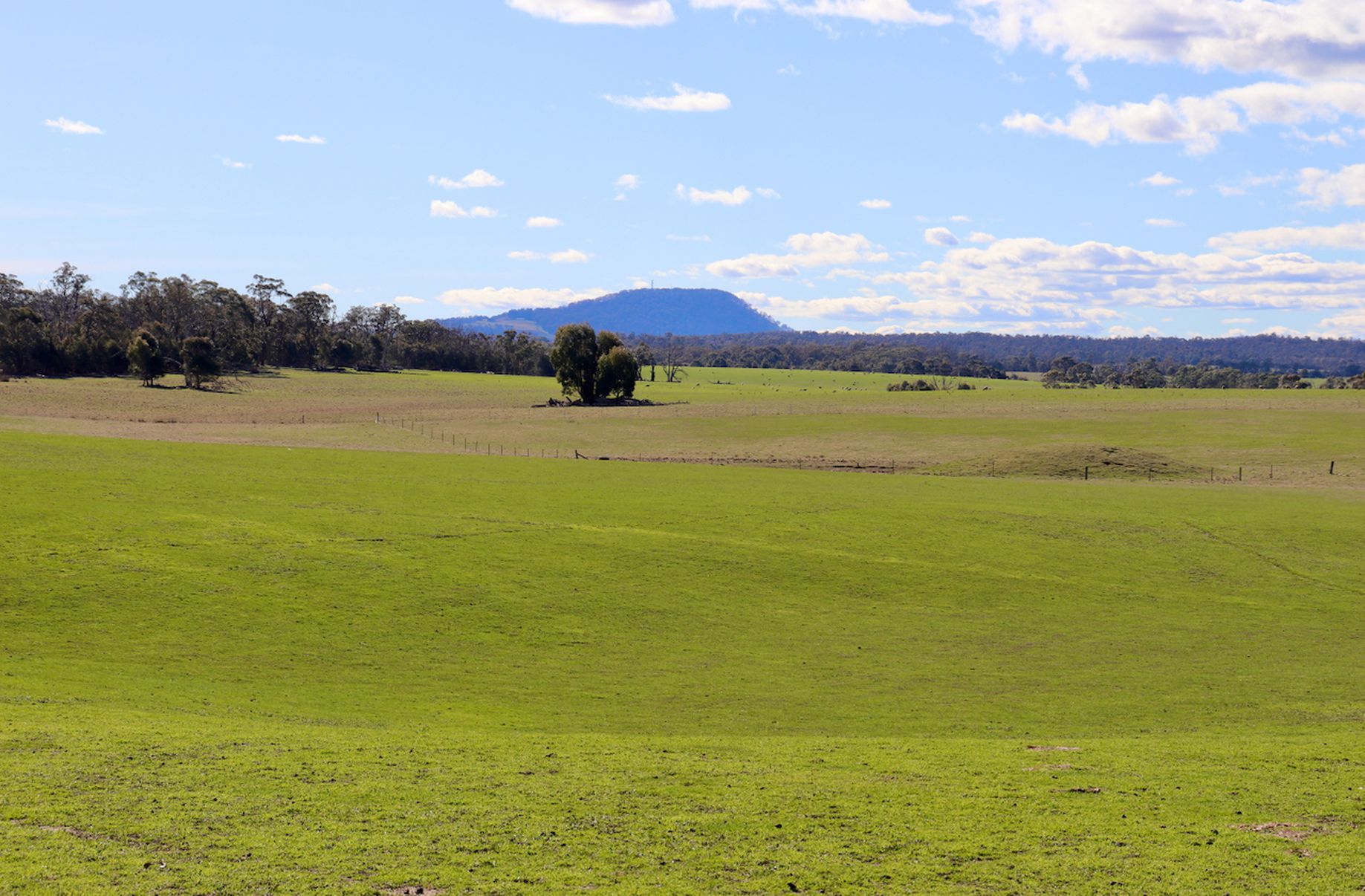 Lot 13, 13A, 13B, 31A &, 31C BRIDGE ROAD, Grenville