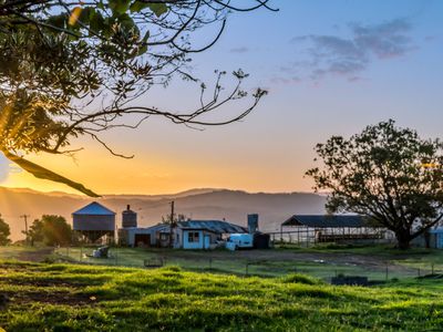 392 TUNTABLE FALLS ROAD, Nimbin