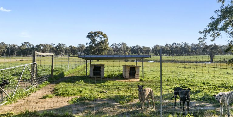 23 Collier Road Balmattum, Euroa