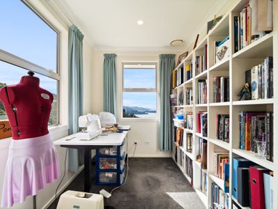 25 Kakapo Street, Saint Leonards