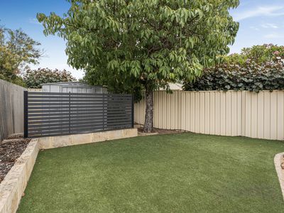 163 Rostrata Avenue, Willetton