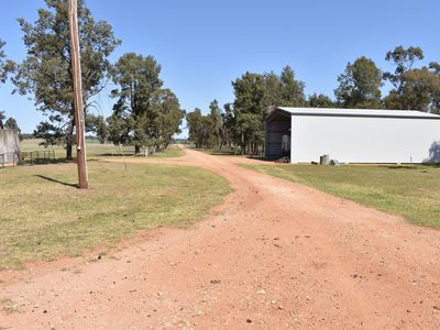 3166 Back Trundle Road, Parkes
