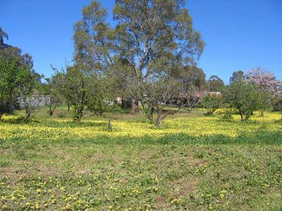 287 HIGH STREET, Heathcote