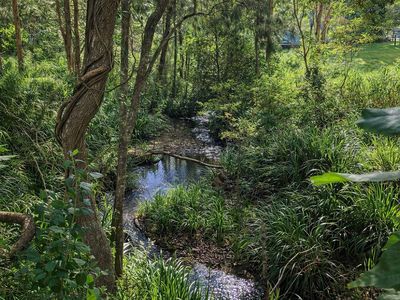 226 Rolley Road, Wondecla