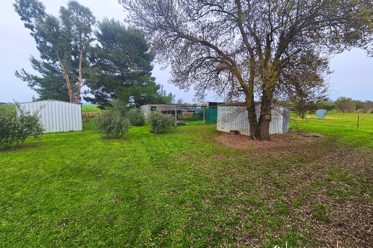 1503 Corop-Wanalta Road, Corop