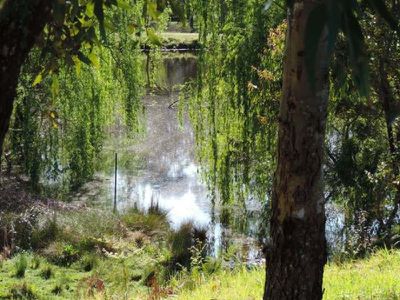2255 Moss Vale Road, Kangaroo Valley