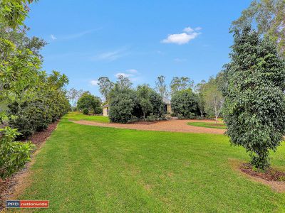 119 Poplar Street, Walloon