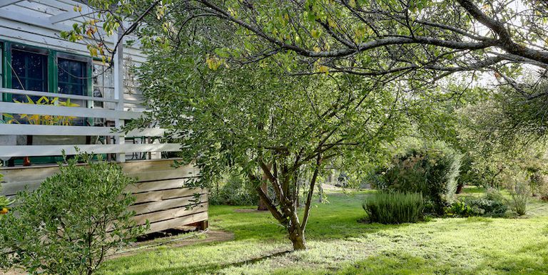 24 Baldhill Lane, Strathbogie