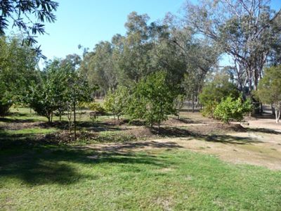 119 Barnawartha Road, Chiltern
