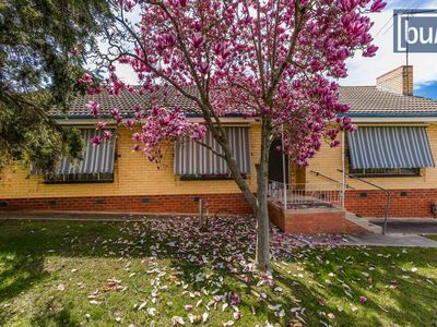177 Murray Street, Rutherglen