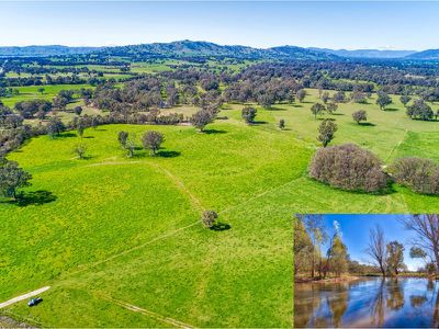 . Murray Valley Highway, Bonegilla