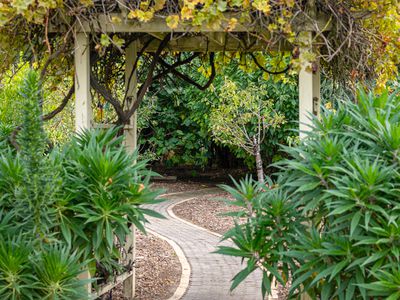 65 Plunkett Terrace, Millicent