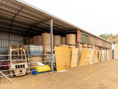 43 Berlin Road, Mount Berryman