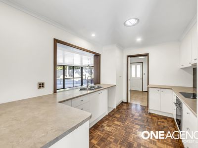 393 Blunder Road, Durack
