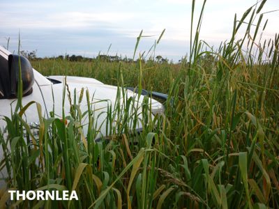 581 Mount Hope Road, Millicent