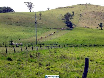 Elms Road Off Kennedy Highway, Upper Barron
