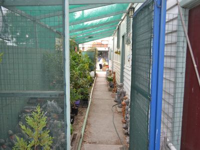 7 KELLY STREET, Pyramid Hill