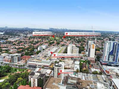 706 / 2A Elsie Street, Burwood