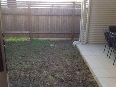 11 / 76 Essex Street, Berkeley