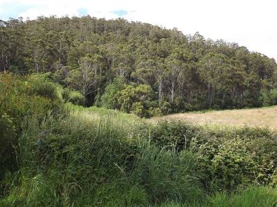 Lot 2 Woodbridge Hill Road, Gardners Bay