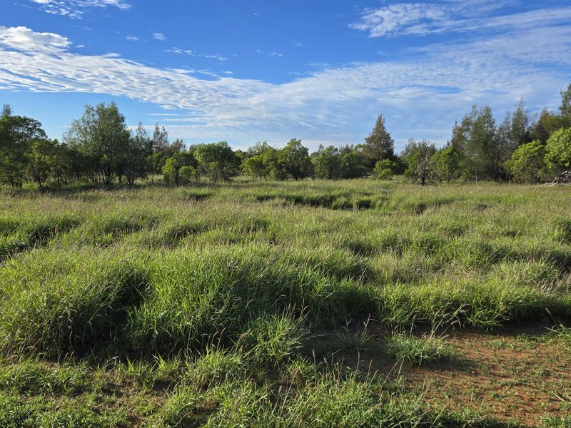 3124 Begonia Road, St George