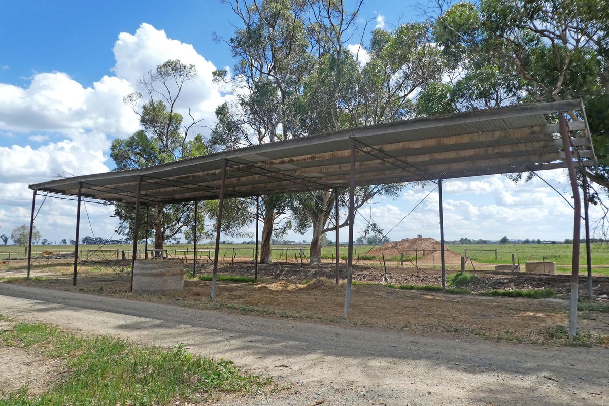 49 Martin Road, Stanhope