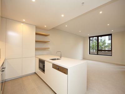 216 / 172 Ross Street, Forest Lodge