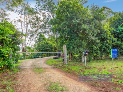 461 Repentance Creek Road, Goonengerry