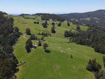 Lot 1 (99 Acres), Coal Mine Road, Kaoota