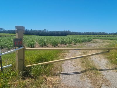 1587 Stapylton Jacobs Well Road, Jacobs Well