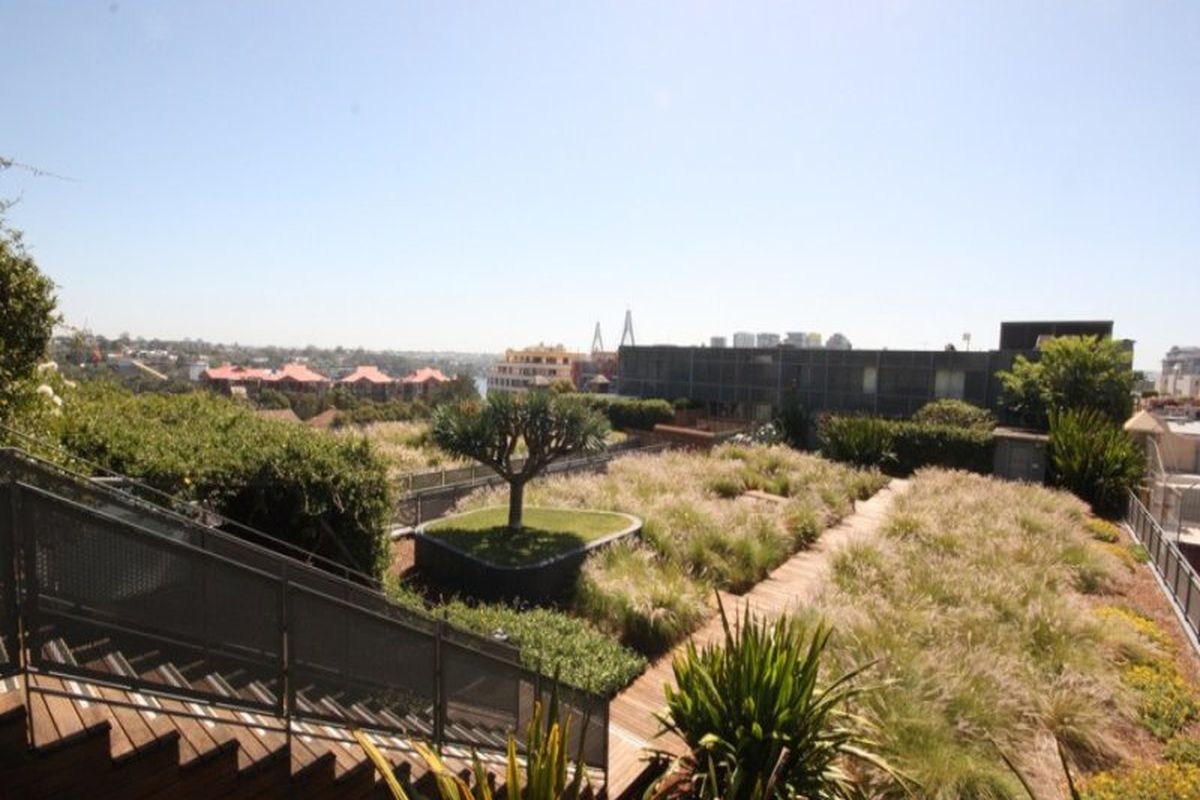 Pyrmont