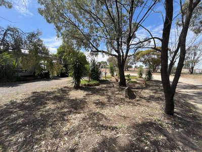 520 Wooroonook Road, Charlton