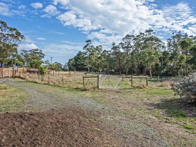 211 Back Line Road, Forest