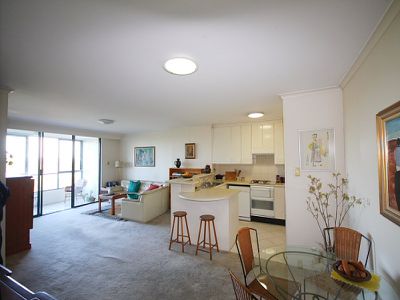 371 / 83-93 Dalmeny Avenue, Rosebery