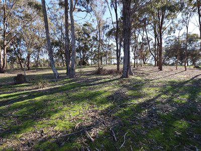 259  Heathcote Redesdale Road, Heathcote