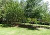 94 Underwood Road, Orange