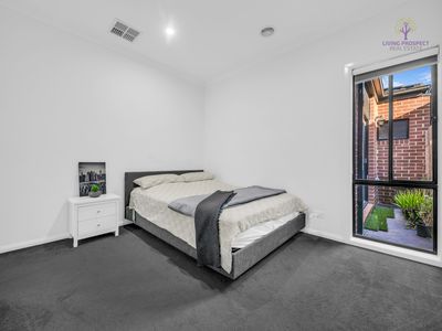 20 Wolin Drive, Tarneit