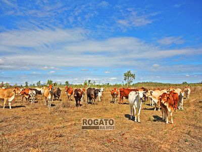 939 Leadingham Creek Road, Dimbulah