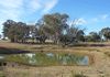 2342 Belgravia Road, Molong