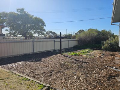 13 Pollock, Merredin